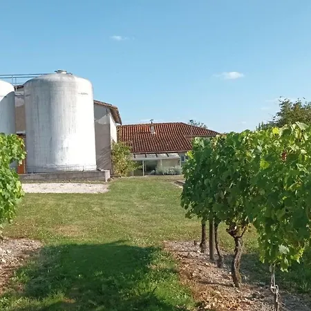 Charentais Renove, Vue Vignobles, Proche Angouleme - Fr-1-653-90 Champagne-de-Blanzac