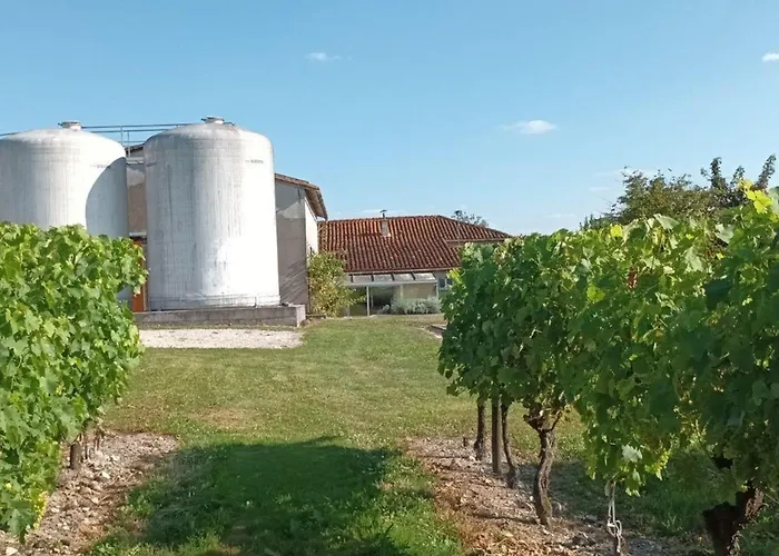 Charentais Rénové, Vue Vignobles, Proche Angoulême - Fr-1-653-90 Champagne-de-Blanzac